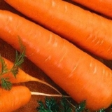 Šargarepa kaskada f1